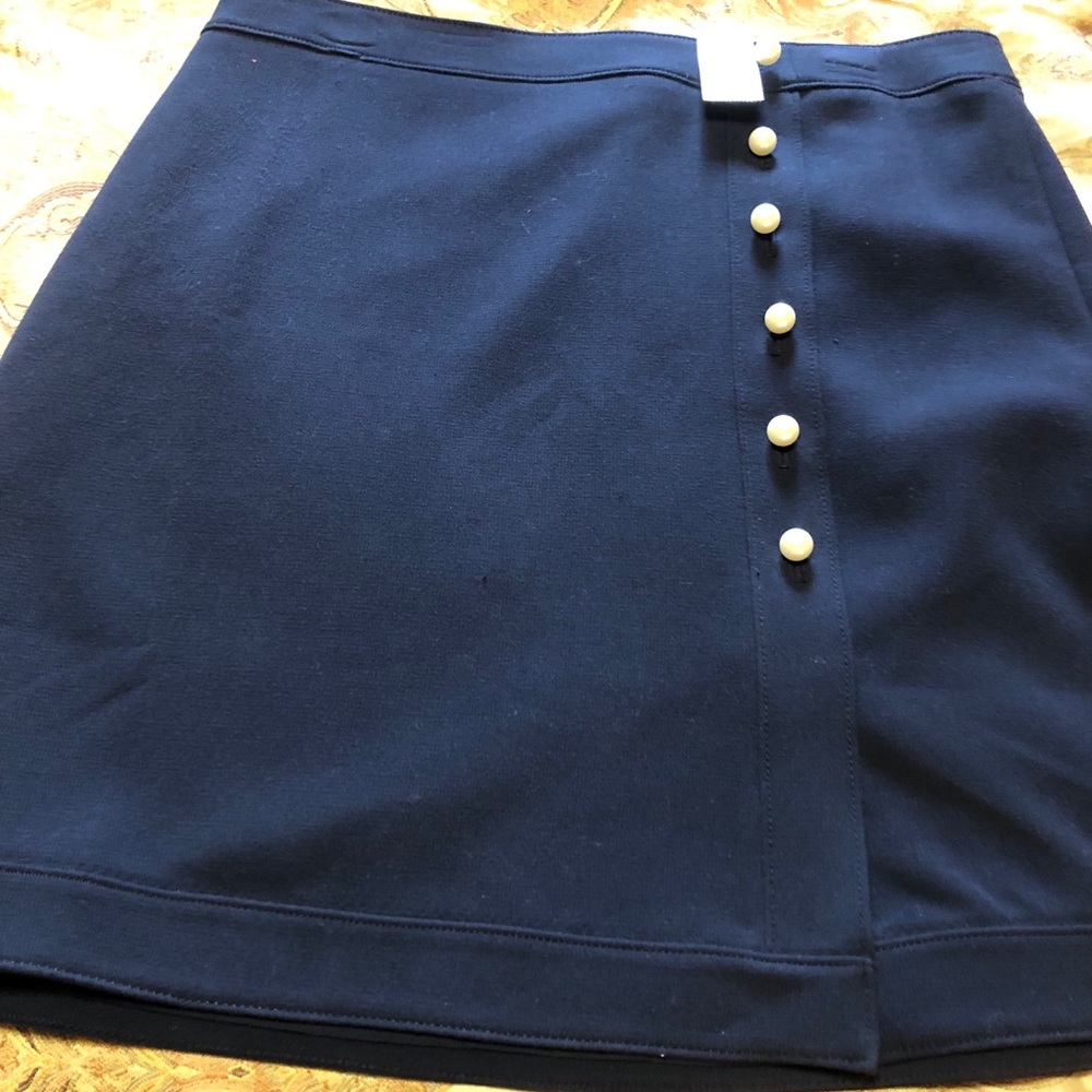 Ann Taylor skirt